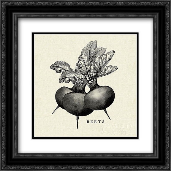 Linen Vegetable BW Sketch Beets 2x Matted 20x20 Black Ornate Framed Art Print by Studio Mousseau