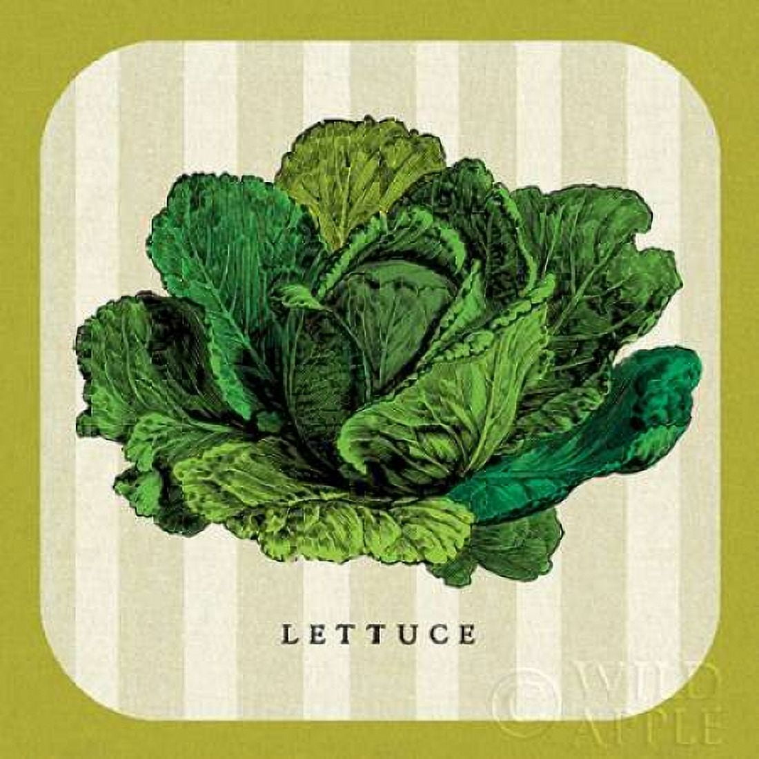 Linen Vegetable II Canvas Art - Mousseau Studio (24 x 24)