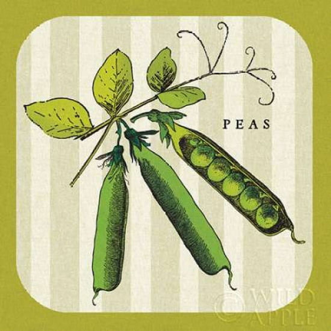Linen Vegetable IV Canvas Art - Mousseau Studio (24 x 24)