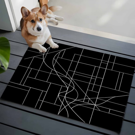Lines Front Door Rugs 2x3 ft Abstarct Geometric White Lines Black Small Rug for Entryway Non Slip Washable Bathroom Door Mat Absorbent Floor Mat for Indoor Entrance