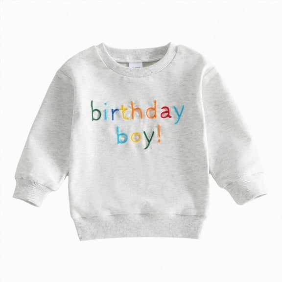 Linfrsh Baby Fall Outfit Birthday Boy Shirt for Toddler Boys Outfit Graphic Tee Kids Gift Long Sleeves Crewneck Sweatshirt Tops(Grey,2-3 Years)