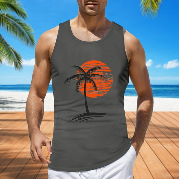 Linfrsh Big&Tall Mens Cotton Tank Tops Sleeveless Undershirts Running Athletic Workout Gym Beach Muscle Sleeveless Shirts Dark Gray,XL