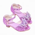 thumbnail image 1 of Linfrsh Kids Princess Shoes Girls Dress Shoes Low Heel Princess Flats Flower Wedding Party Glitter Shoes for Kids Toddler(Purple,Size12), 1 of 8