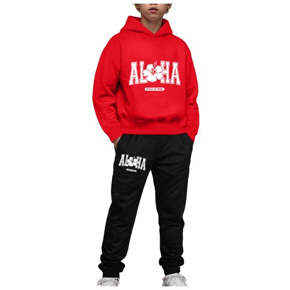 Linfrsh Toddler Baby Boy Gifts Fall Winter Clothes Hoodie Tops Sweatshirt Pants Set 3 6 12 18 24 Months 2t 3t Outfits Red,2-3 Years