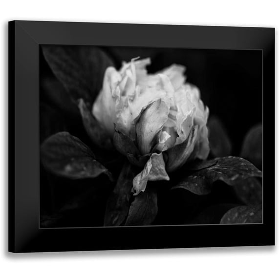 Ling, Tang 14x12 Black Modern Framed Museum Art Print Titled - Poetry I
