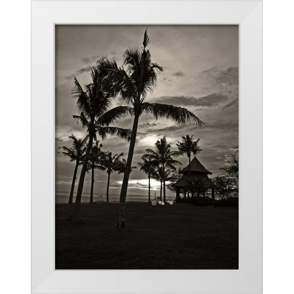 Ling, Tang 15x18 White Modern Wood Framed Museum Art Print Titled - Palms at Night I