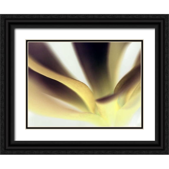 Ling, Tang 32x25 Black Ornate Wood Framed with Double Matting Museum Art Print Titled - Petal II
