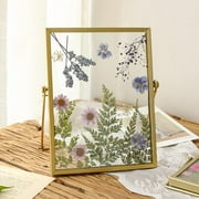 LingStar 6 Inch DIY Double Glass Pressed Flower Photo Frame,Handmade Simple Dried Flower Picture Frame Dried Leaf Photo Display Minimalist Table Ornament