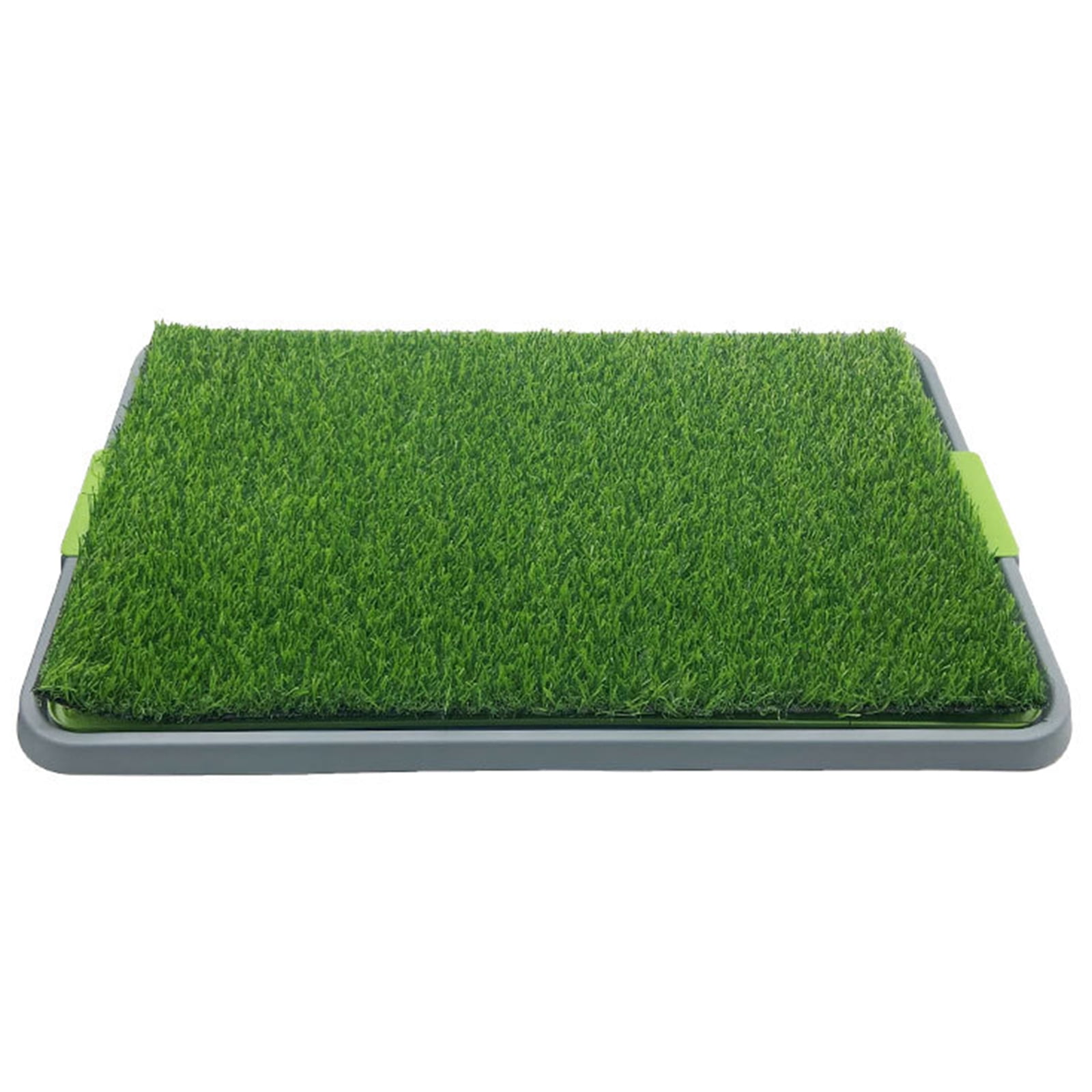 Apartment Grass Dogs
