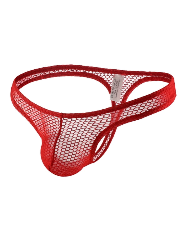 Lingerie Mens Low Rise Mesh Pouch Briefs with Contrast Edge Bands And Breathable Net Front in Multiple Variations Lingerie