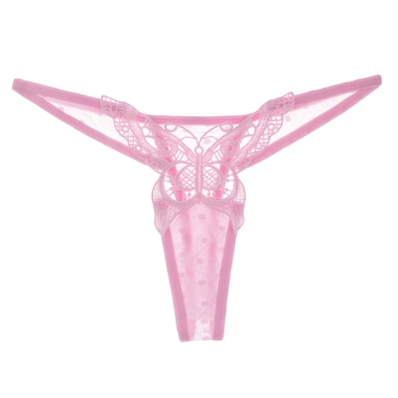 Lingerie for Women Butterfly Embroidered Transparent Low Waist Simple Thongs Underwear Babydoll Breathable Panties