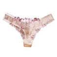 thumbnail image 1 of Lingerie for Women Mesh Full Transparent Embroidery Underwear Babydoll Breathable Panties, 1 of 6