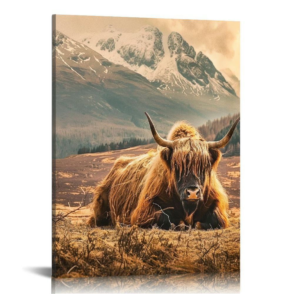 Highland Cow 12x16 Inch Framed Canvas Print