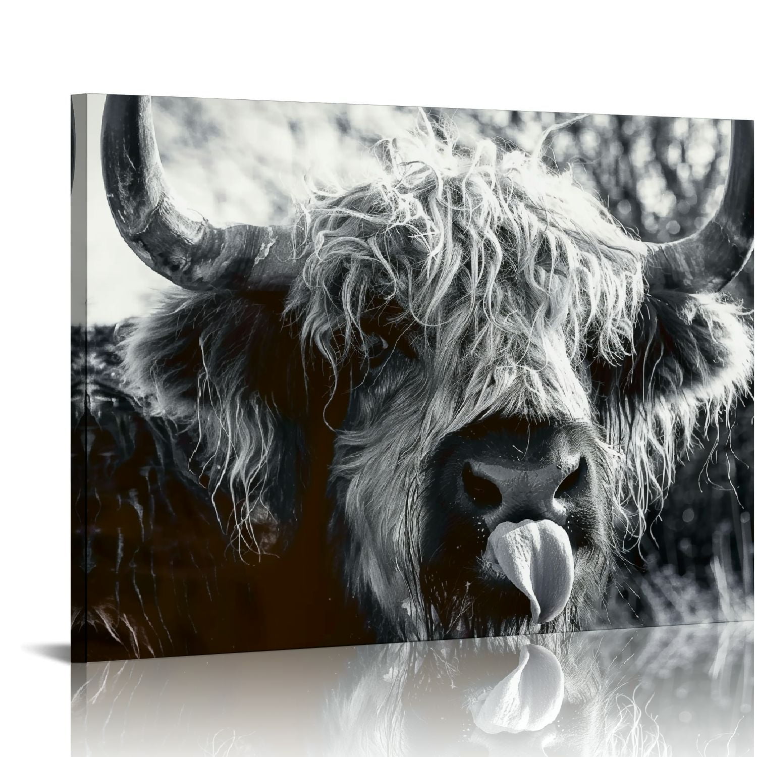 Framed Black and White Highland Cow Canvas Art Print, 16" x 12"