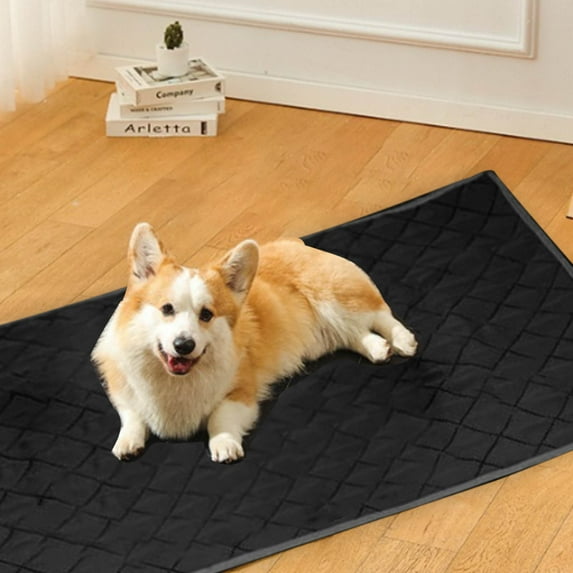 Linjieee Couch Blankets Warm Pet Pee Pad Repeatable Machine Washable Pee Proof General Purpose Non Slip Easy To Dry Training Pad For Cats And Dogs