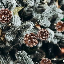 Linnome Natural Pine Cone Christmas Ornaments with White Frosted Edges, 6-Piece/9-Piece Set for Holiday Tree and Home Decor