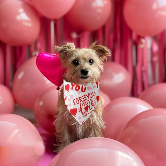 Linnome Valentine's Day Pet Scarf Heart Shaped Bib Triangle Accessory for Dogs and Cats Sweet Festive Pet Apparel for Love Themed Celebrations