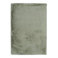 thumbnail image 1 of Linon Maven Faux Rabbit Pl Green 5x7, Rug, 1 of 6