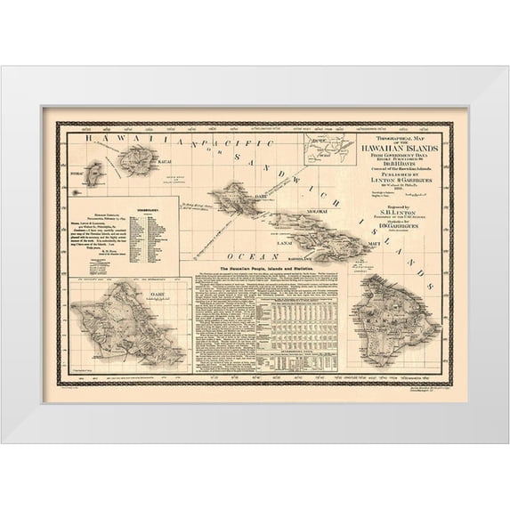 Linton 14x11 White Modern Wood Framed Museum Art Print Titled - Hawaii - Linton 1893
