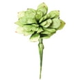 thumbnail image 1 of KALALOU CLX1150 BOTANICA #43, 1 of 3
