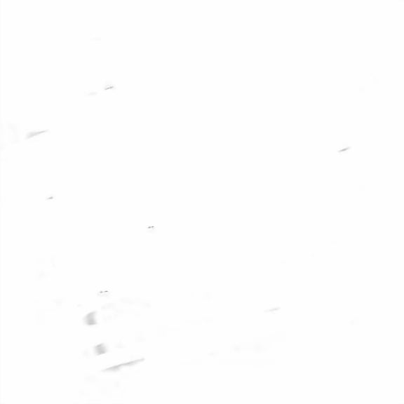 Linzer 8505 0100 Foam Paint Brush Building_Material, 1", Clear
