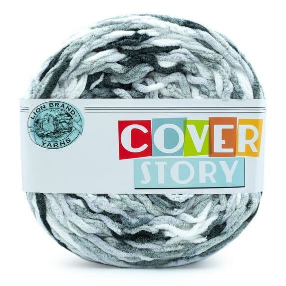 Lion Brand Yarn Cover Story Mercury Super Bulky Polyester Multicolor Yarn 1 Cake