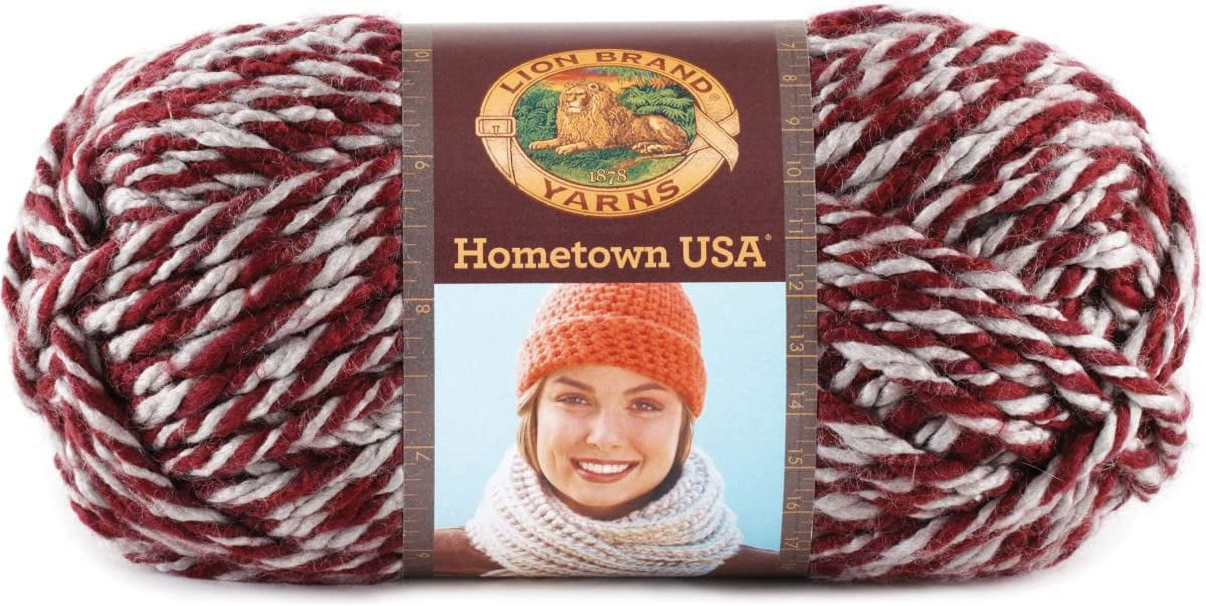 Lion Brand Yarn Hometown Yarn, Bulky Yarn, Yarn for Knitting and  Crocheting, 1-Pack, Phoenix Azalea