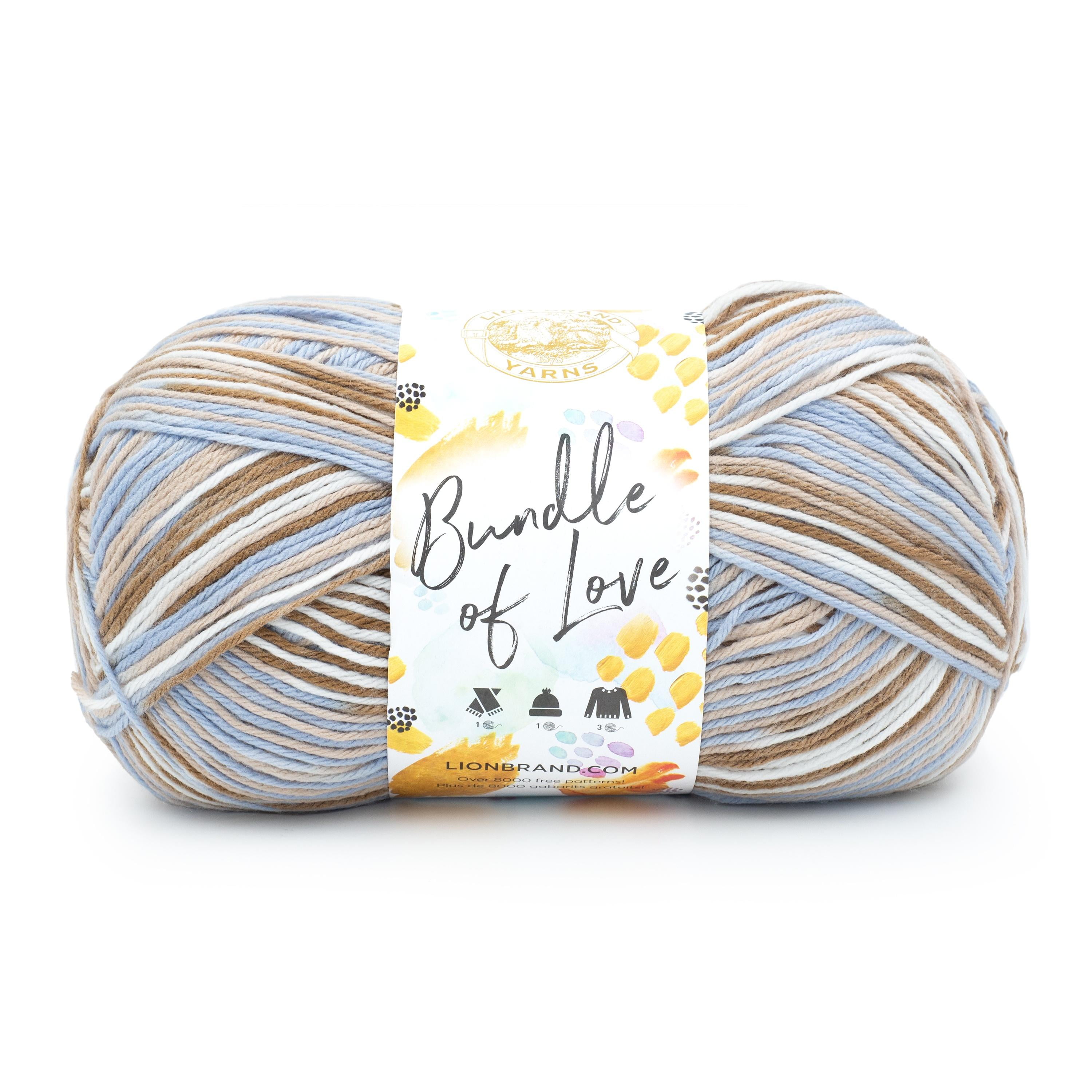 Lion Brand Yarn Bundle of Love Weathered Wood Medium Acrylic Multi-color Yarn 1 Skein