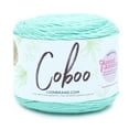thumbnail image 1 of Lion Brand Yarn Coboo Lichen Light DK Yarn, 1 of 6