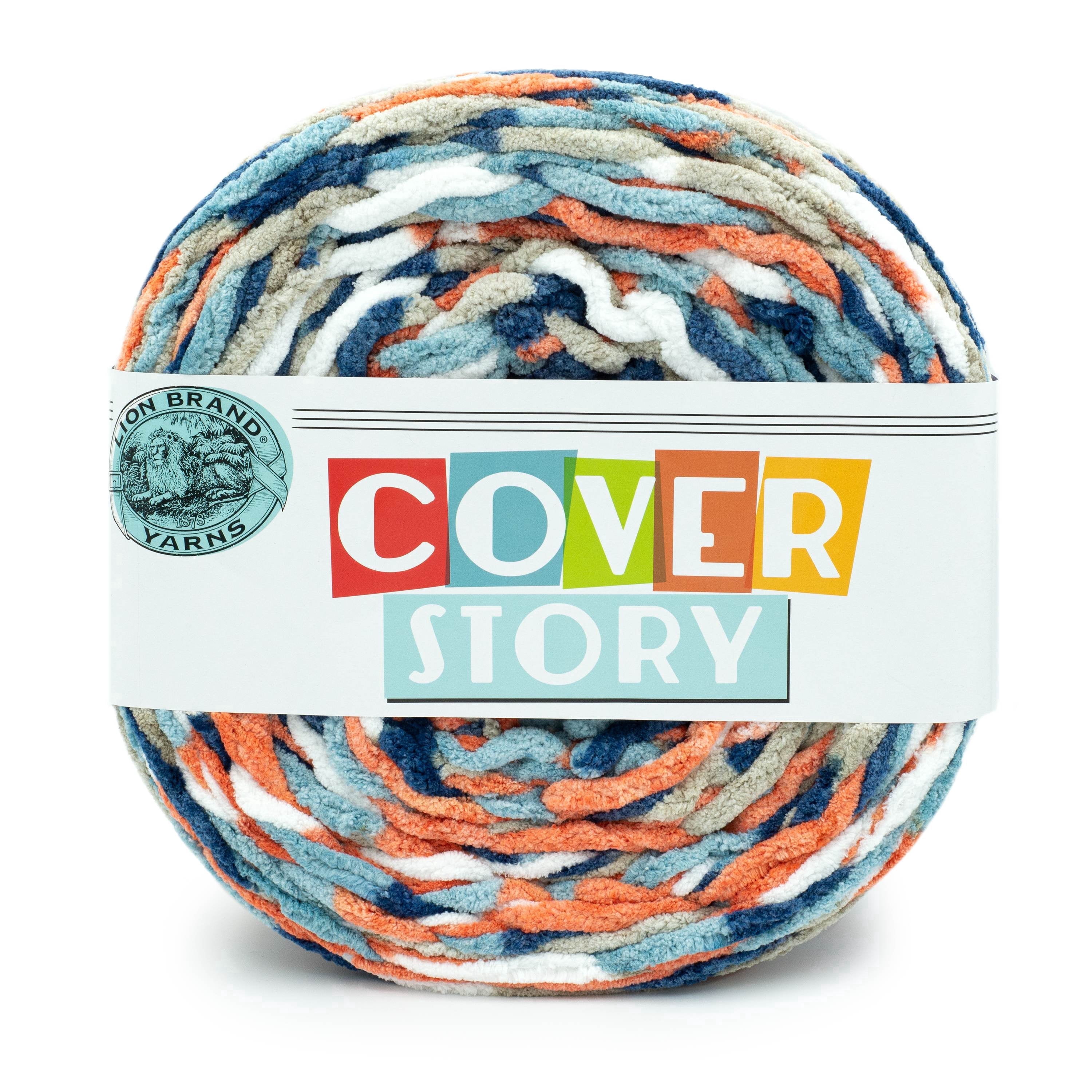 Lion Brand Yarn Cover Story Avalon Super Bulky Polyester Multicolor Yarn 1 Cake