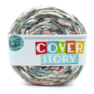 Lion Brand Yarn Cover Story Emery Super Bulky Polyester Multicolor Yarn 1 Cake