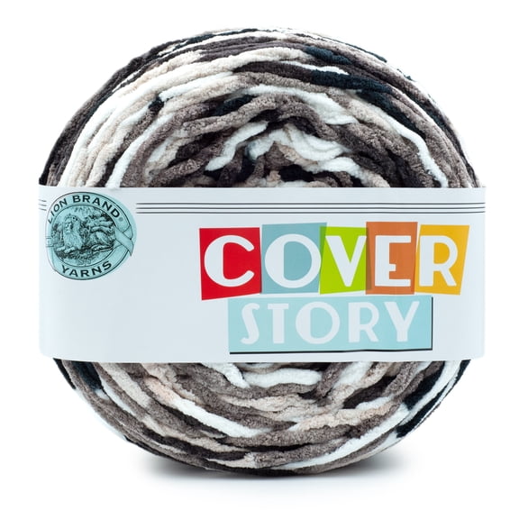 Lion Brand Yarn Cover Story Mica Super Bulky Polyester Multicolor Yarn 1 Cake