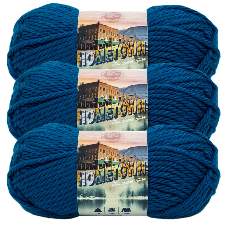 Lion Brand, Art, Nwt Lion Brand Hometown Usa Acrylic Yarn 3pack Charlotte  Blue
