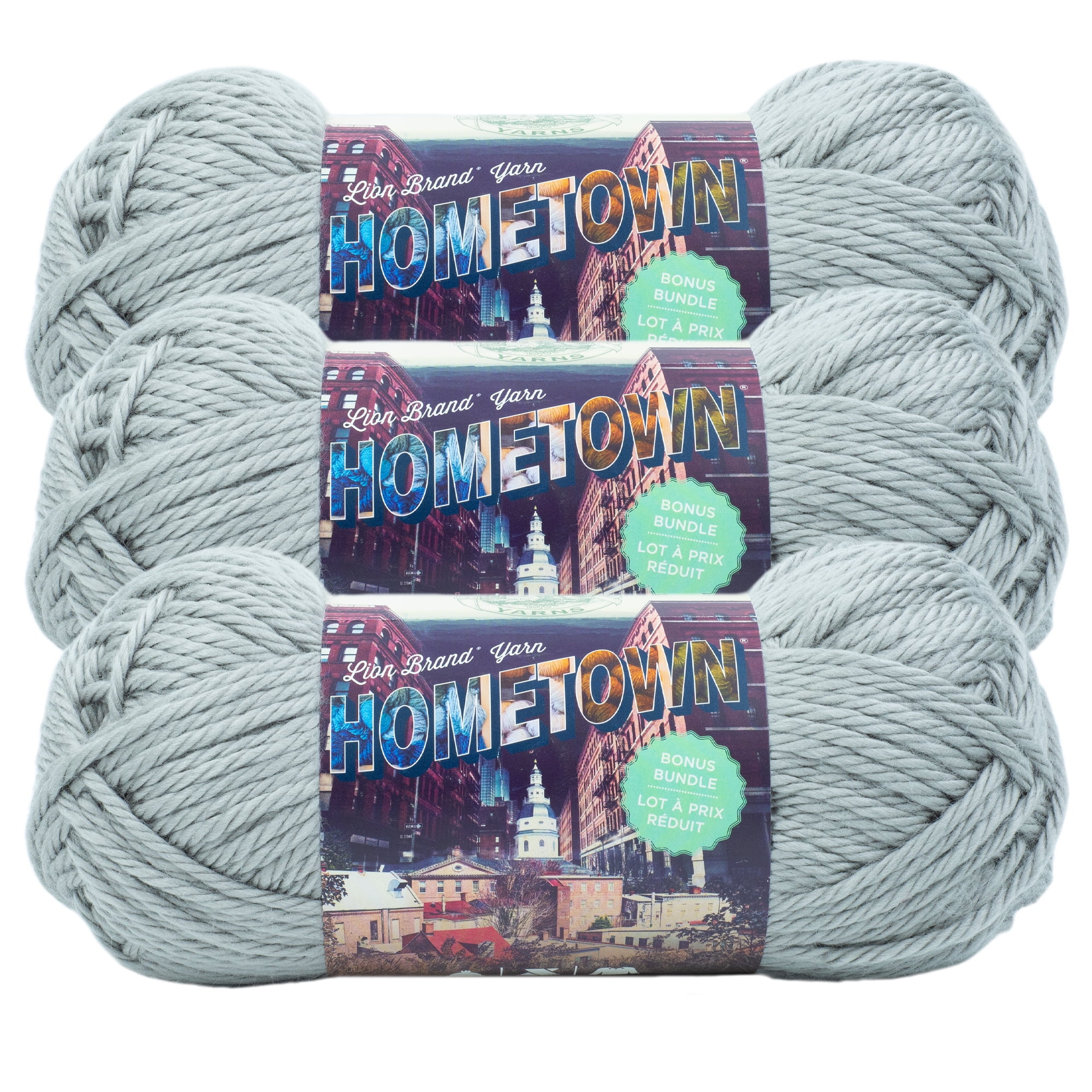 Lion Brand Hometown Yarn-fayetteville Frost : Target