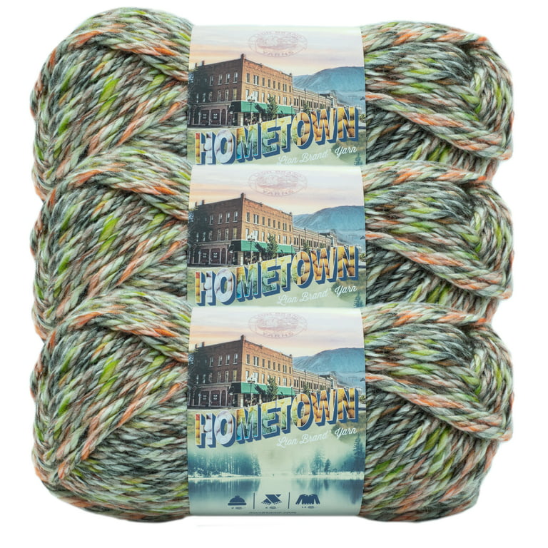 Lion Brand Yarn Hometown USA Acrylic Yarn, 3-Pack, Napa Valley Pinot