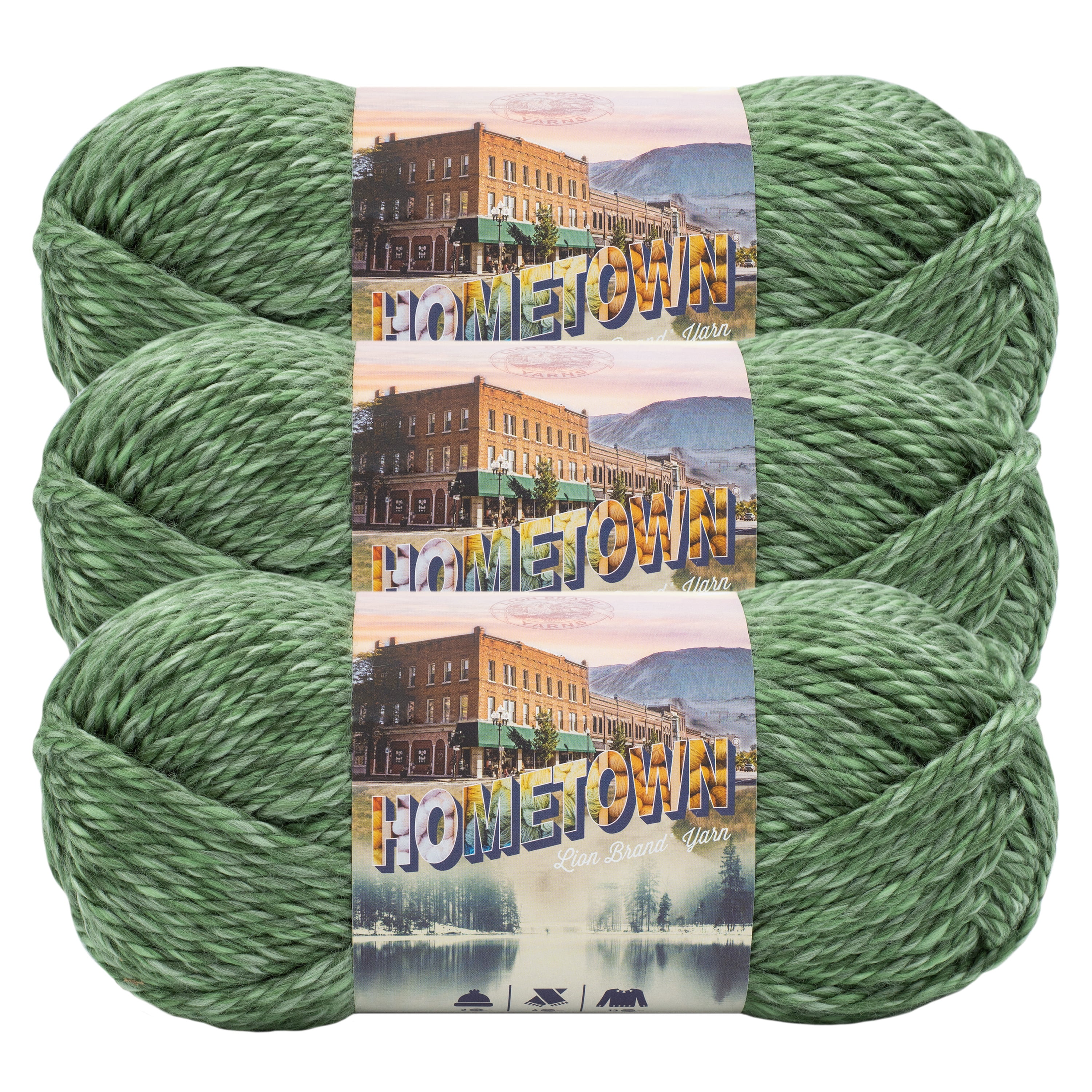 Lion Brand Yarn Hometown Everglades Super Bulky Acrylic, Rayon Green Yarn 3 Pack