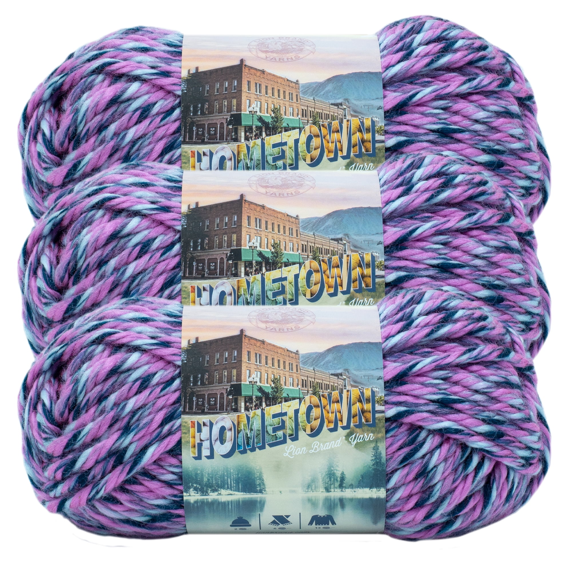 Lion Brand Hometown Yarn Cincinnati Red Knitting Crochet Super Bulky