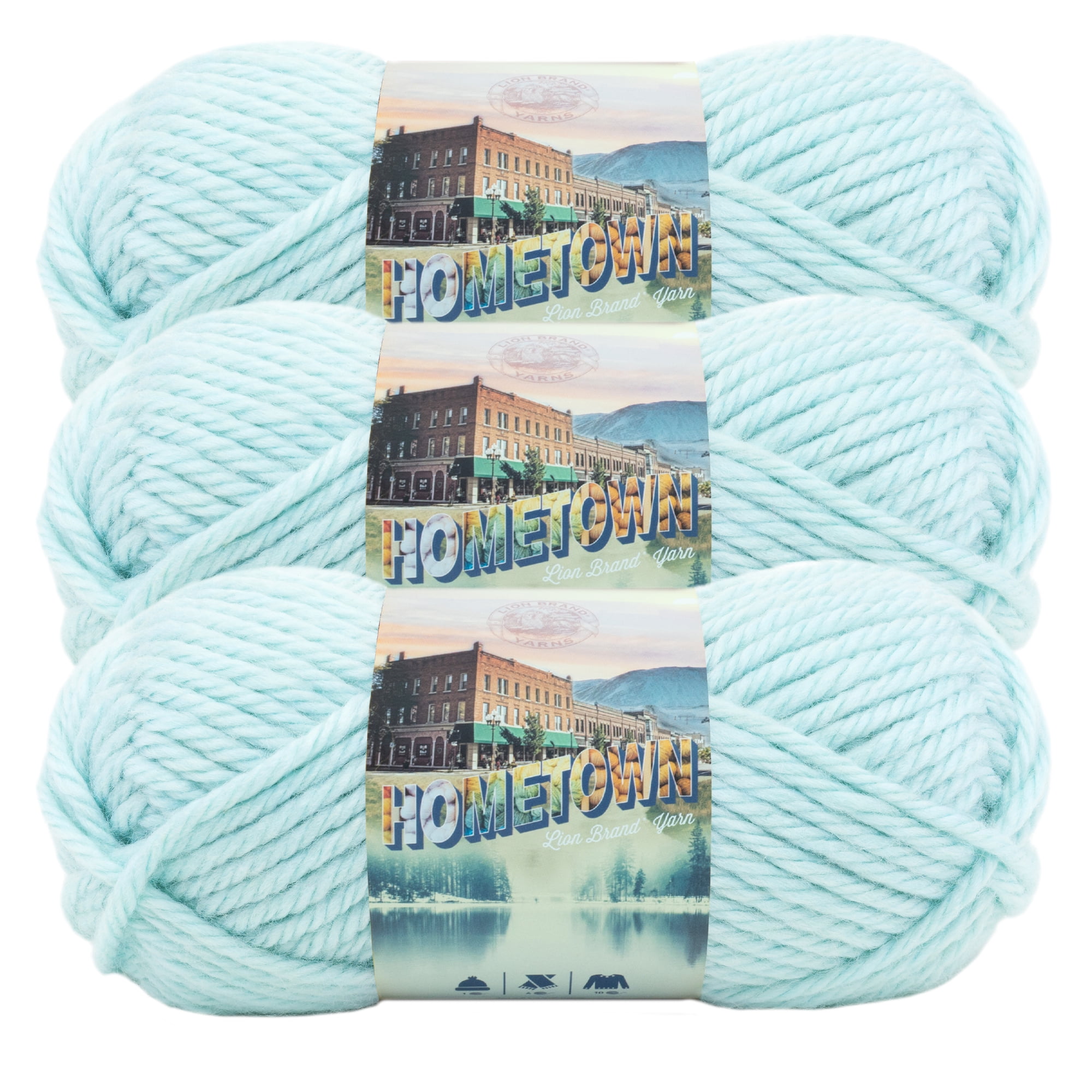Lion Brand Knitting Yarn Hometown Louisville Julep 3-Skein Factory Pack  (Same Dye Lot) 135-117 Bundle with 1 Artsiga Crafts Project Bag