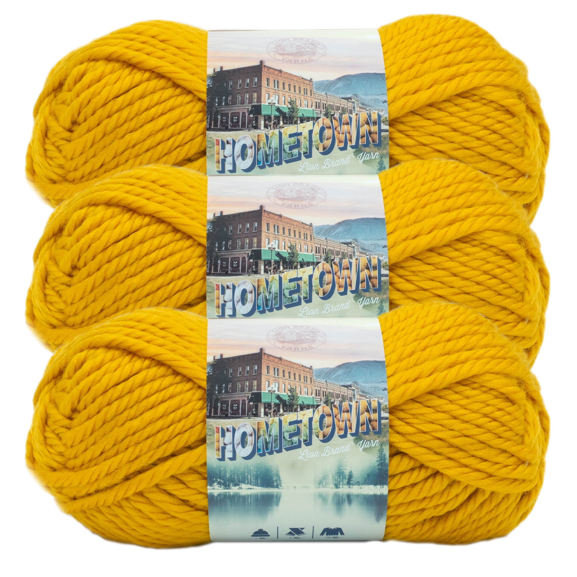 Lion Brand Yarn Hometown Yarn, Bulky Yarn, Yarn for Knitting and Crocheting, 3-Pack, Sleepy Hollow Spirit
