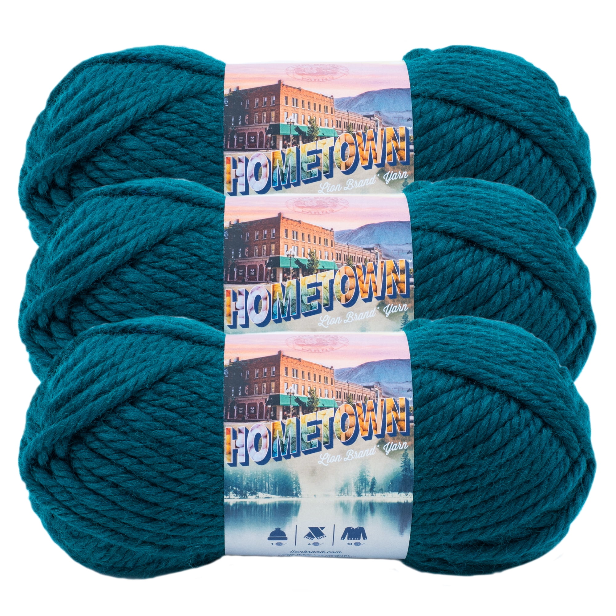 Lion Brand Knitting Yarn Hometown Louisville Julep 3-Skein Factory Pack (Same Dye Lot) 135-117 Bundle with 1 Artsiga Crafts Project Bag