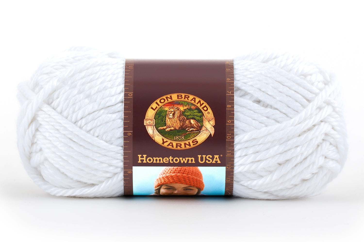 Lion Brand® Hometown Super Bulky Yarn 5 ounces