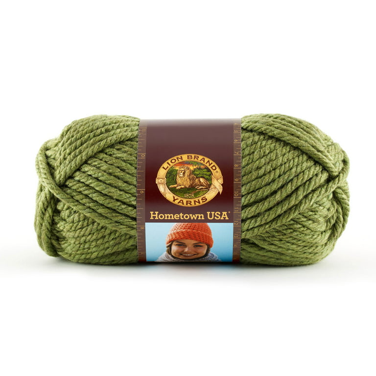 Lion Brand Homespun Thick & Quick Yarn - Oklahoma City Green - 5oz/142g
