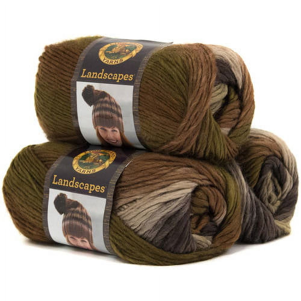 LION BRAND LANDSCAPES Yarn 100% Acrylic Lot of 14 skeins in various  colors-Used $40.00 - PicClick