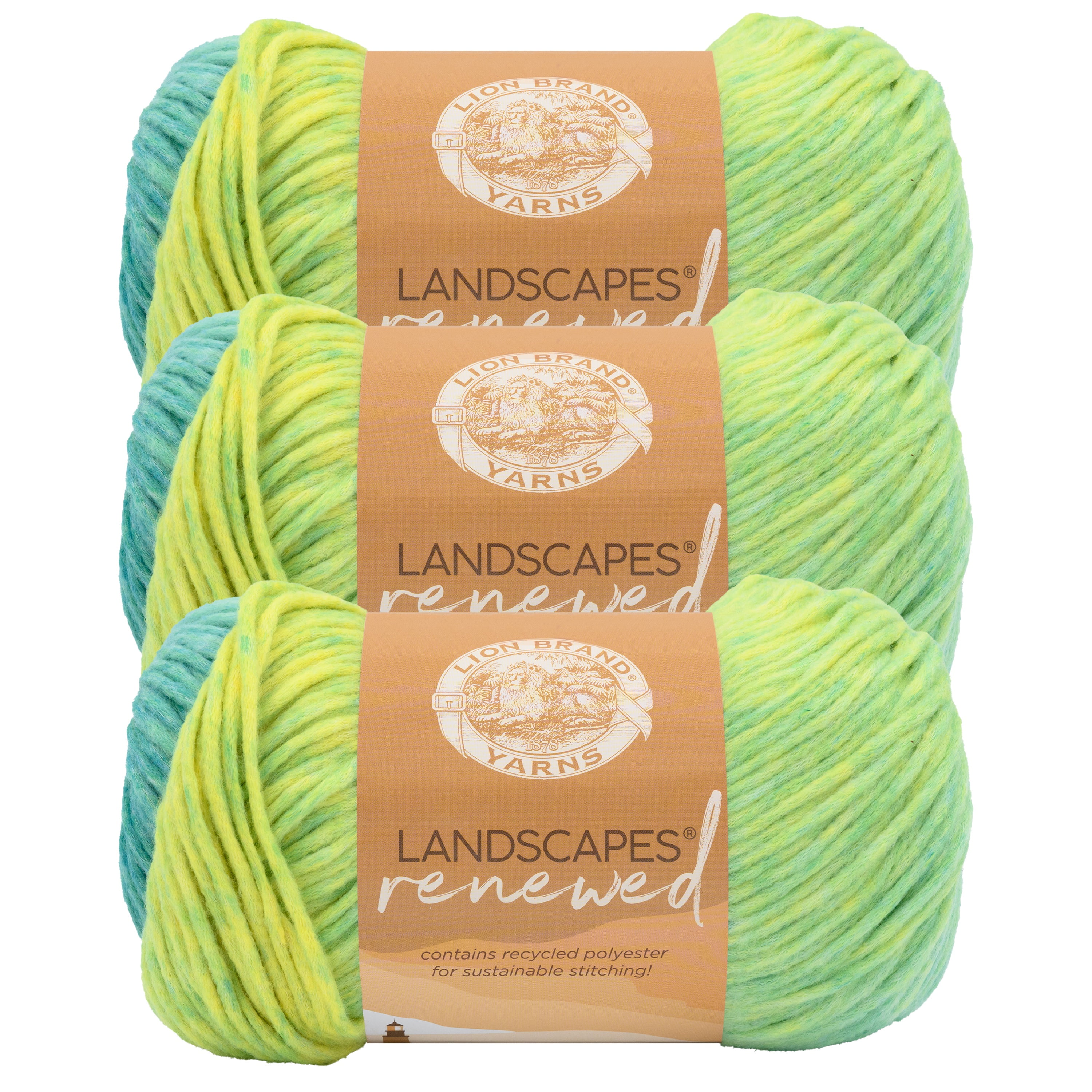 Lion Brand Yarn Landscapes Renewed Dragonfly Medium Polyester, Recycled Polyester Yarn 3 Pack
