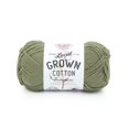 thumbnail image 1 of Lion Brand Yarn Local Grown Cotton Army Green Medium Cotton Grown in theGreen Yarn 1 Skein, 1 of 4