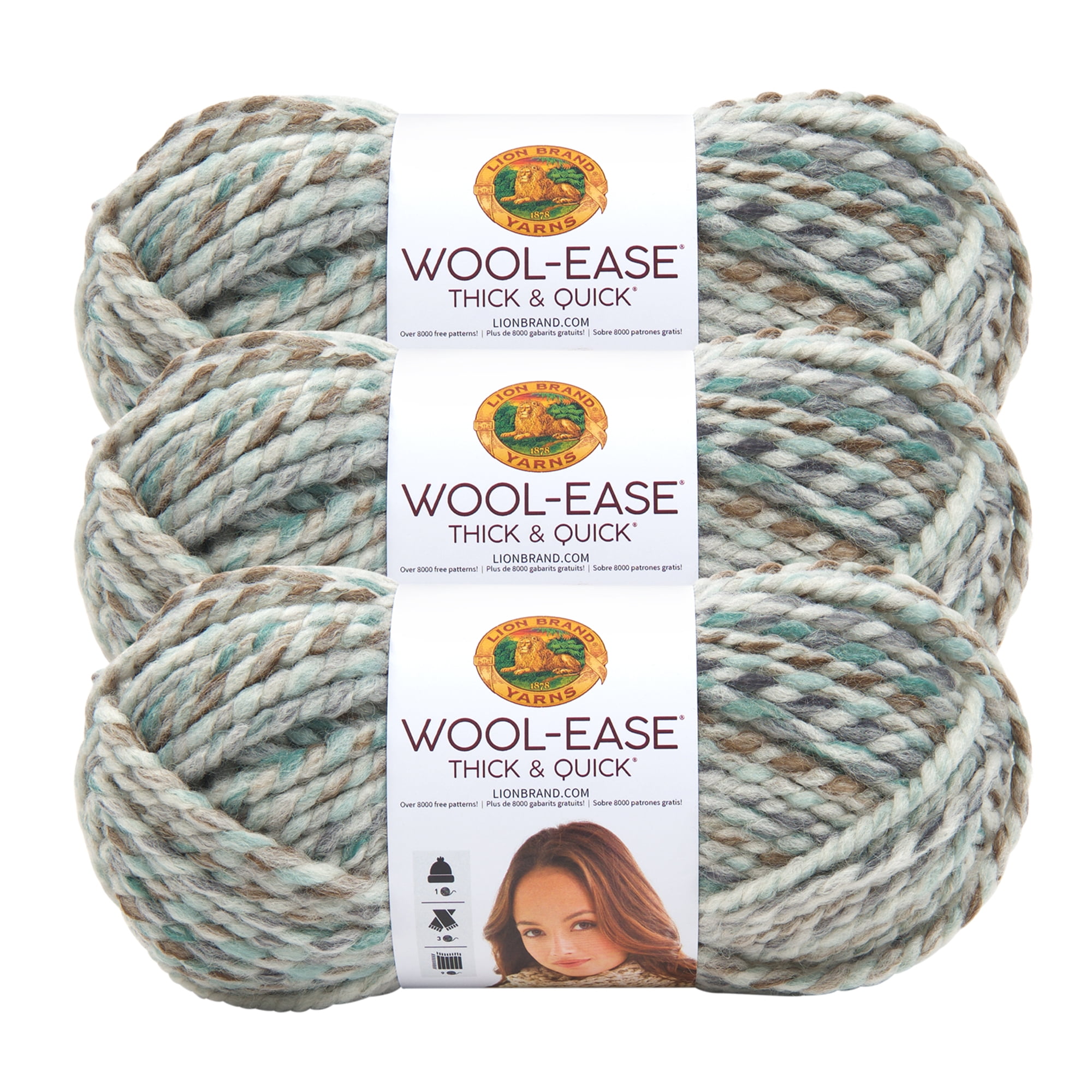 Lion Brand Yarn Wool-Ease Thick and Quick Storm Front Classic Super Bulky  Acrylic, Wool Multi-color Multi-Color Yarn 3 Pack 
