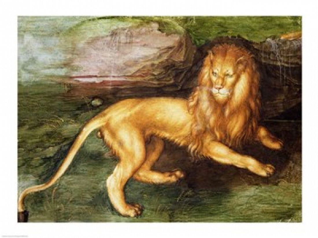 Lion Canvas Art - Albrecht Durer (29 x 22)