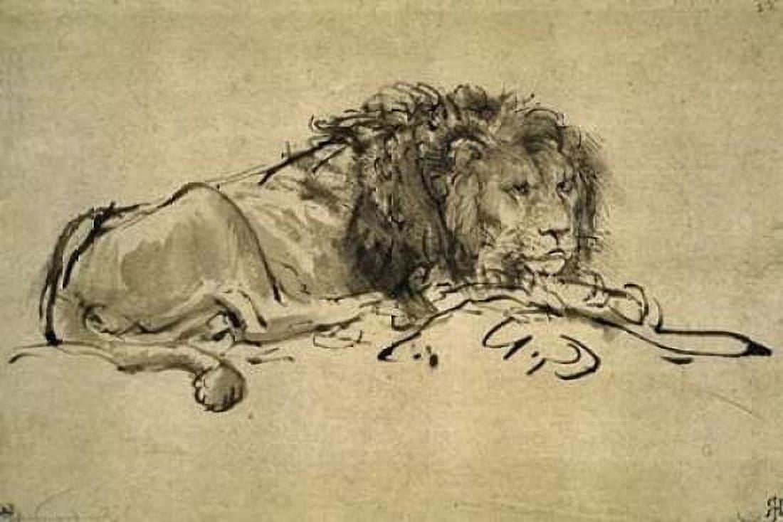 Lion Canvas Art - Rembrandt Van Rijn (24 x 36)