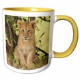 thumbnail image 1 of 3drose, Lion Cub in the Bush, Maasai Mara Wildlife Reserve, Kenya., 11oz Two-tone Yellow Mug, 1 of 6