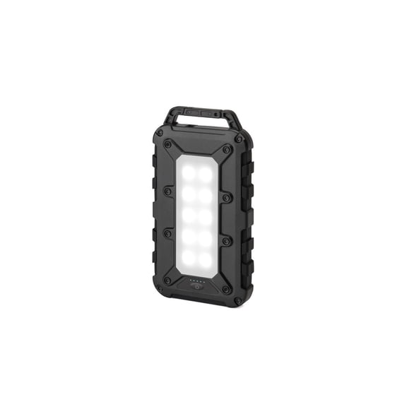 Lion Energy Lion Cub Portable Power Bank with Built-In 50 Lumens Floodlight